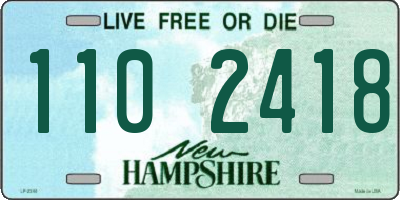 NH license plate 1102418