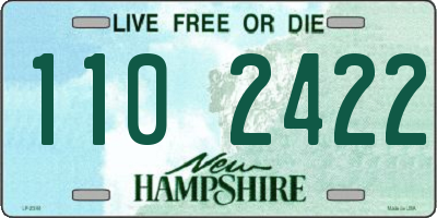 NH license plate 1102422