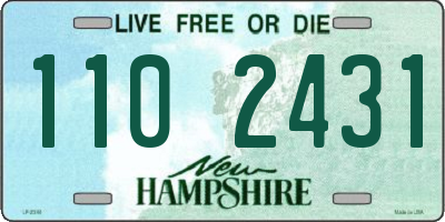 NH license plate 1102431