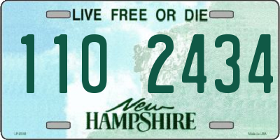 NH license plate 1102434