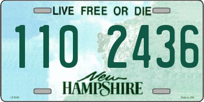 NH license plate 1102436