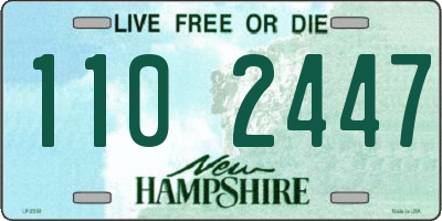 NH license plate 1102447
