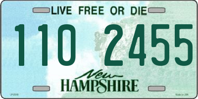 NH license plate 1102455