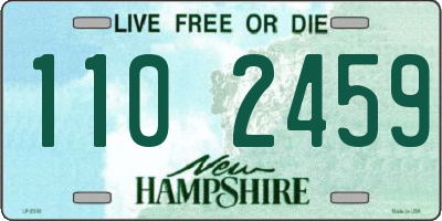 NH license plate 1102459