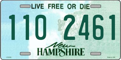 NH license plate 1102461