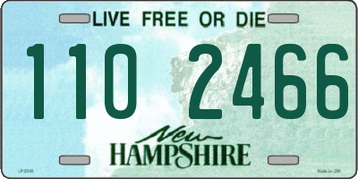 NH license plate 1102466
