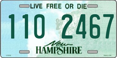 NH license plate 1102467