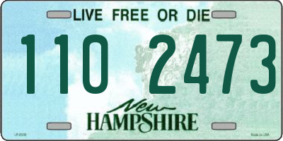 NH license plate 1102473