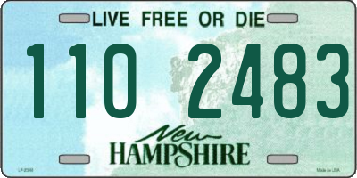 NH license plate 1102483