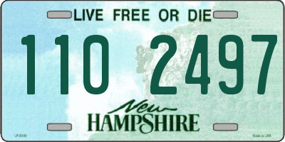 NH license plate 1102497