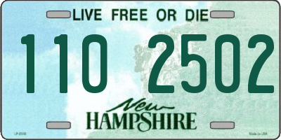 NH license plate 1102502