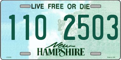 NH license plate 1102503