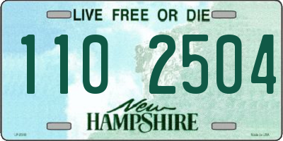 NH license plate 1102504