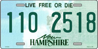 NH license plate 1102518
