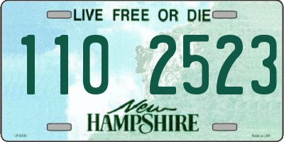 NH license plate 1102523