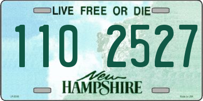 NH license plate 1102527