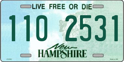 NH license plate 1102531