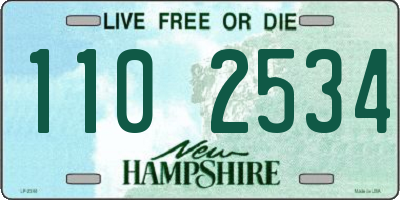 NH license plate 1102534