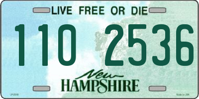 NH license plate 1102536
