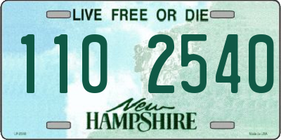 NH license plate 1102540