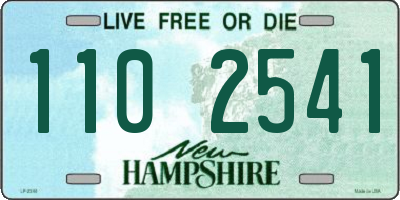 NH license plate 1102541
