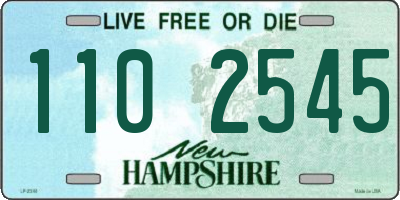 NH license plate 1102545