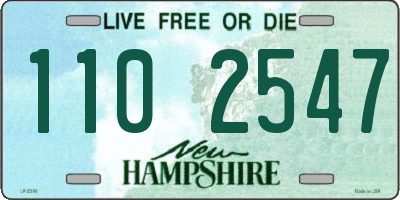 NH license plate 1102547