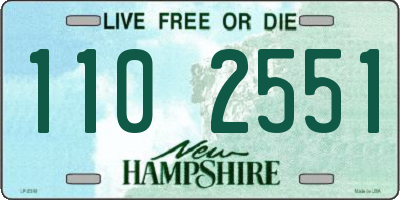 NH license plate 1102551