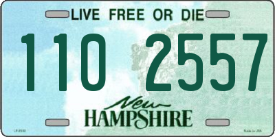 NH license plate 1102557