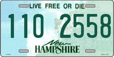 NH license plate 1102558