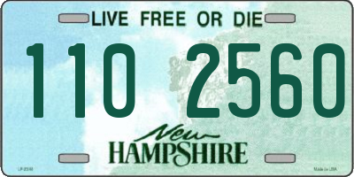 NH license plate 1102560