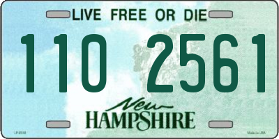 NH license plate 1102561