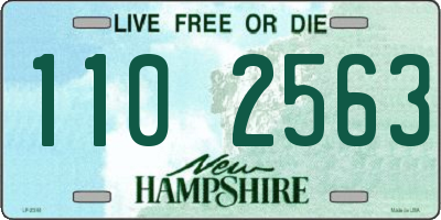NH license plate 1102563