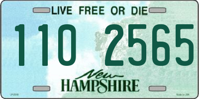 NH license plate 1102565
