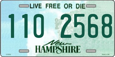 NH license plate 1102568