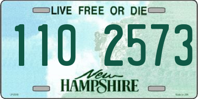 NH license plate 1102573