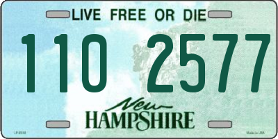 NH license plate 1102577