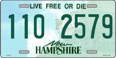 NH license plate 1102579