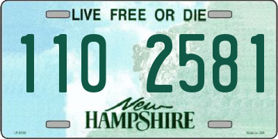 NH license plate 1102581