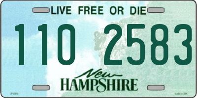 NH license plate 1102583