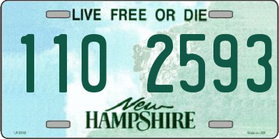 NH license plate 1102593