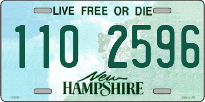 NH license plate 1102596