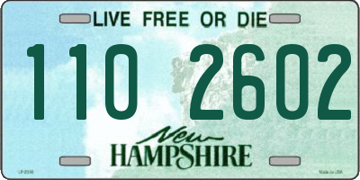 NH license plate 1102602