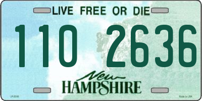 NH license plate 1102636