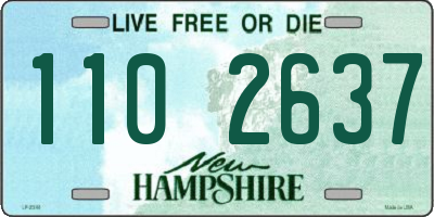 NH license plate 1102637
