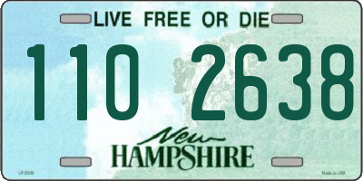 NH license plate 1102638