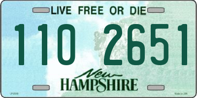 NH license plate 1102651