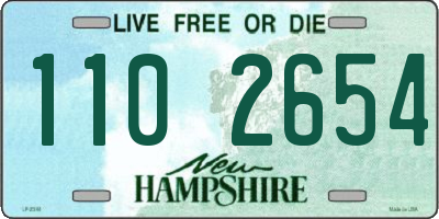NH license plate 1102654