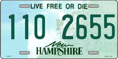 NH license plate 1102655