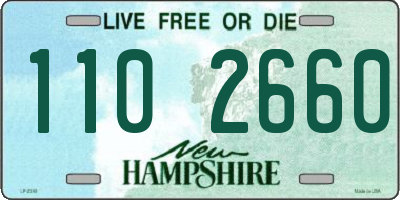 NH license plate 1102660